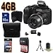 Fujifilm FinePix S2950 14 MP Digital Camera with Fujinon 18x Wide Angle Optical Zoom Lens and 3-Inch LCD International Version With no Warranty (Black) Accessory Saver 4GB NiMH Battery/Rapid Charger Bundle