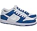 Nike Men's Dunk Low Pro IW Skate Shoe