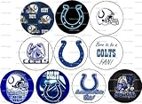 Set of 10 INDIANAPOLIS COLTS Pinback Buttons 1.25" Pin / Badge FOOTBALL