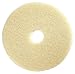 Burnishing Pad, 19 In, Beige, PK5