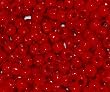 Red Crow Beads Pony Beads