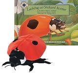 Ladybug at Orchard Avenue Paperback BK/ CD/ Plush