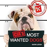 CIA's most wanted dogs