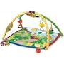 Baby Einstein Seek & Discover Activity Gym