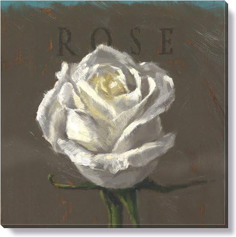 Darren Gygi Giclee on Canvas 1" Gallery Wrap on Wood Frame Rose 20" x 20"