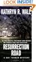 Resurrection Road: A Bay Tanner Mystery (Bay Tanner Mysteries)