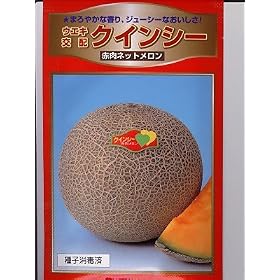 �N�C���V�[�������@�@���l�A�؂̃�������ł�
