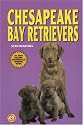 Chesapeake Bay Retrievers (KW Dog)