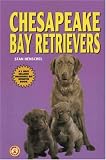 Chesapeake Bay Retrievers (KW Dog)
