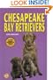 Chesapeake Bay Retrievers (KW Dog)