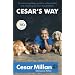 Cesar's Way: The Natural, Everyday Guide to Understanding and Correcting Common Dog Problems