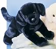 Chester Black Lab 16" by Douglas Cuddle Toys