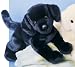 Chester Black Lab 16" by Douglas Cuddle Toys