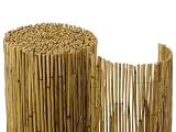 Schilfrohrmatte 1,8 x 6 m - Schilfrohr Sichtschutz