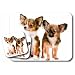 Chihuahua Dog Mouse Pad & Coaster Set