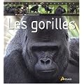 Gorilles