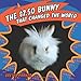 The $7.50 Bunny That Changed The World