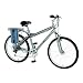 Currie EZip Trailz Men's Electric Bike