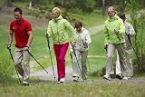 picture of Gymstick Nordic Walking Force - Strong