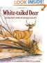 White-Tailed Deer: Ecology and Management
