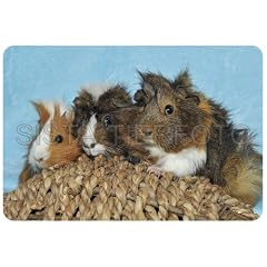Mousepad, Mauspad Meerschweinchen
