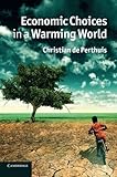 Economic choices in a warming world
