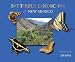 Butterfly Landscapes of New Mexico