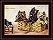Picture Print Cairn Terrier Puppy Dogs Art