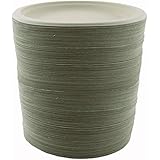 World Centric's Biodegradable and Compostable Wheat Straw 9" Plates (Package of 200)