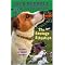 Jack Russell Stories