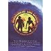 Morning Of The Earth Deluxe Edition: A Film By Albert Falzon [DVD]