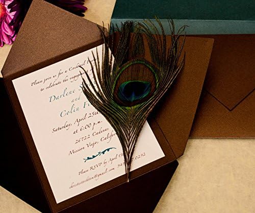 Bronze Pointed Pochette / Wedding Invitations / Stationery Cards