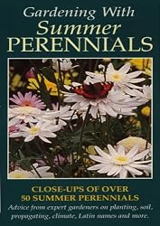 Gardening With Summer Perennials