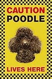 CAUTION POODLE LIVES HERE サインボート：プードル 写真 画像 英語 看板 Made in U.K [並行輸入品]