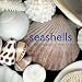 Books : Seashells