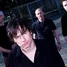 Image of The Pineapple Thief