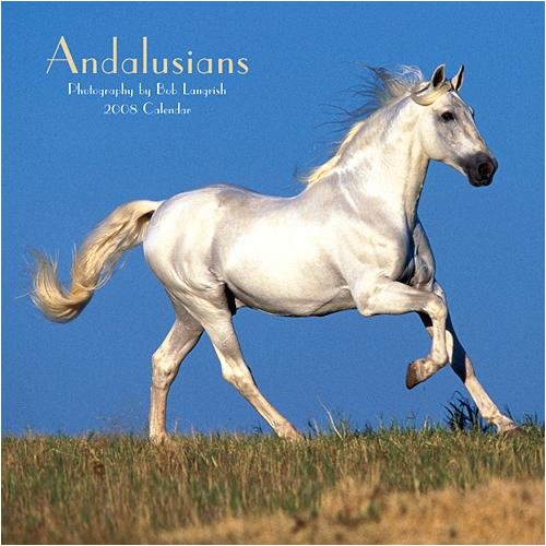 2008 andalusian horse calendar