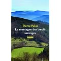 La montagne des boeufs sauvages