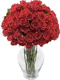 100 Blooms of Red Spray Roses with Jordan Vase