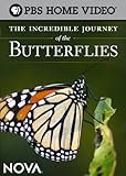 The Incredible Journey of the Butterflies