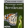 The Incredible Journey of the Butterflies by 