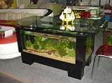 Dinning table aquarium