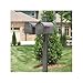 Main Street Double Mailbox Post Finish: Black