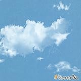 生のり付き壁紙/1m単位 カット販売/東リ/パワー1000/不燃認定[カラー＆ベーシック]/【CC-WVP7058】/JQ