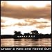 Under a Pale & Faded Sun