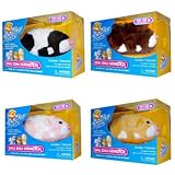 Zhu Zhu Animals Set of 4 hamsters Jilly Scoodles Winkie Nugget 514wu5LuF4L. SL160 Zhu Zhu Animals Set of 4 hamsters Jilly Scoodles Winkie Nugget