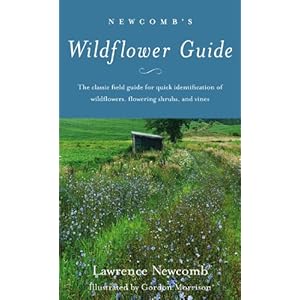 Newcomb's Wildflower Guide