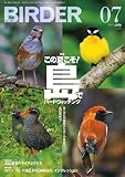 BIRDER 2013年 7月号 [雑誌]