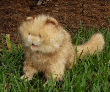 Childrens Toyshop  Toys : Cat (persian) 15in Animal Puppet (P8072M)