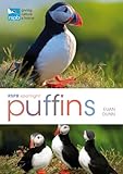 Puffins